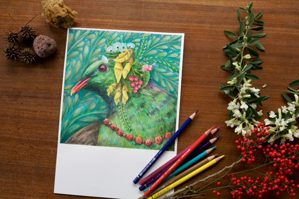 New Zealand wood pigeon art