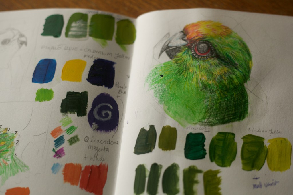 sketchbook, playing with colours