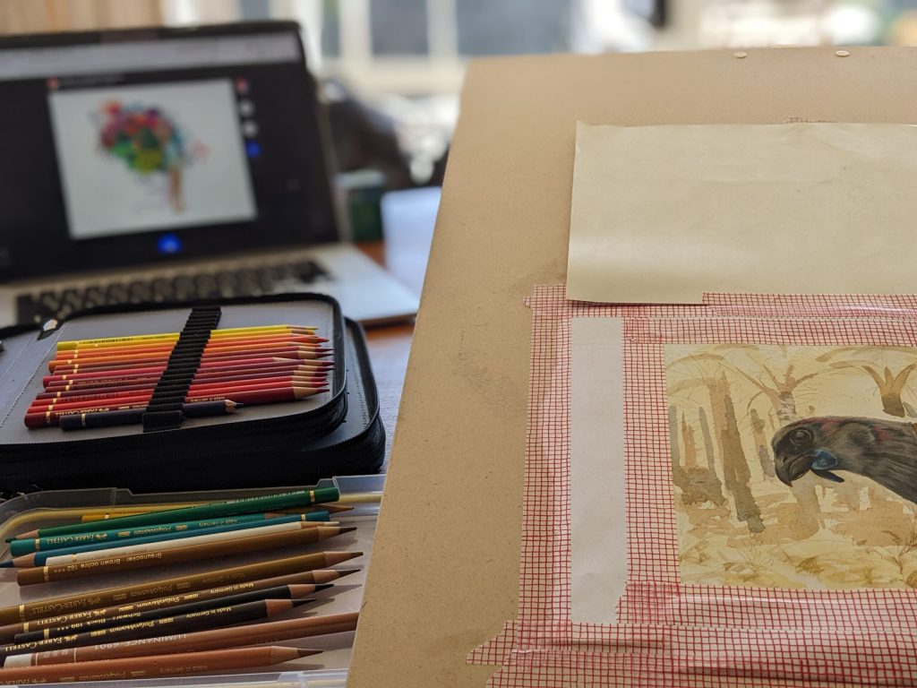 coloured pencil artwork